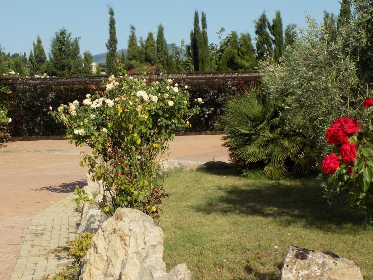 Villa Sorrentina Альгеро Экстерьер фото